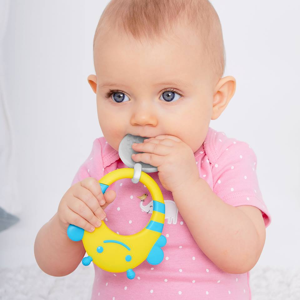 Skip Hop Explore & More Stay Cool Teether Fox