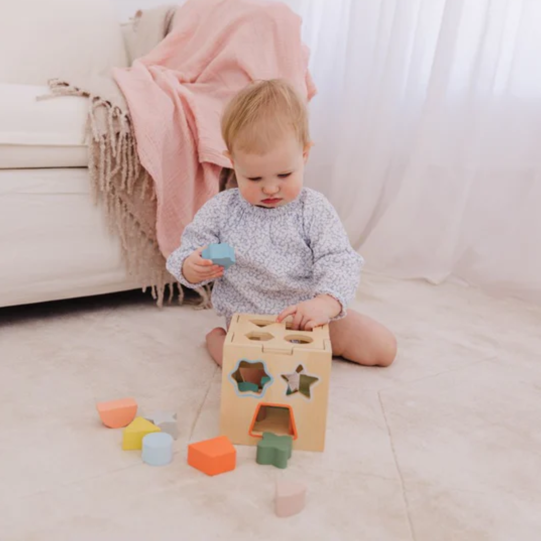 Bubble Wooden Shape Sorting Cube