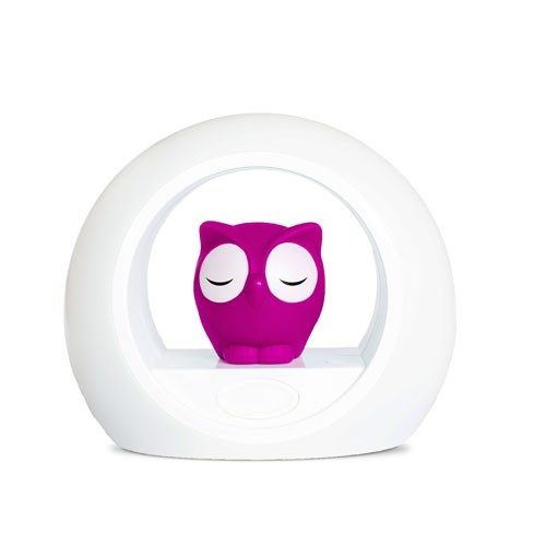 Voice activated online night light