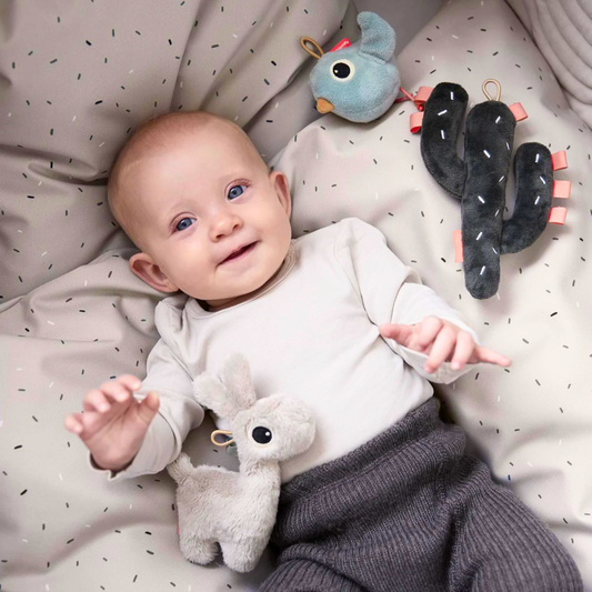 Done by Deer Tiny Sensory Toy Set Lalee